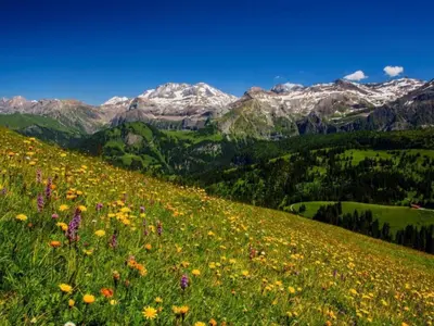 Naturlandschaft in der Nähe der Ferienwohnung