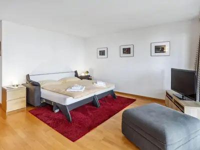 TV/Unterhaltungsangebot in der Unterkunft Studio Krokus Apt-T by Interhome