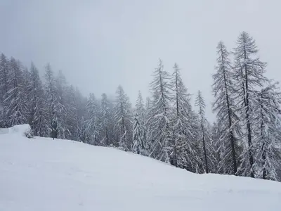 Casa Di Vacanza Cevio im Winter