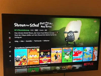 TV/Unterhaltungsangebot in der Unterkunft Fortuna
