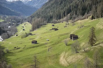 Naturlandschaft in der Nähe des Chalets