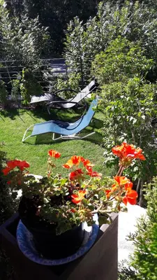 Ein Garten an der Unterkunft Les loulou 2