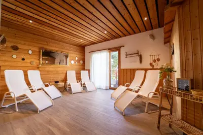 TV/Unterhaltungsangebot in der Unterkunft Hôtel Chalet Royal