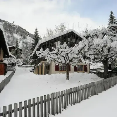 Glacier Views & Ski Trails