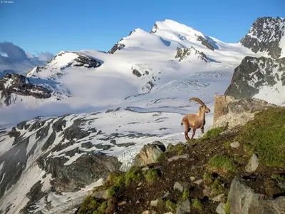 Naturlandschaft in der Nähe des Chalets