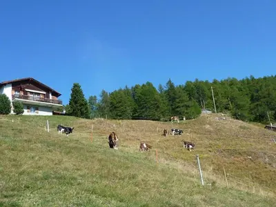 Naturlandschaft in der Nähe des Chalets