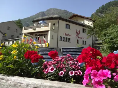 Grundriss der Unterkunft Hotel-Restaurant Grina
