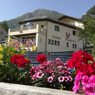 Hotel-Restaurant Grina