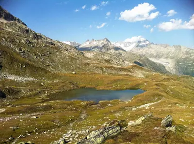 Naturlandschaft in der Nähe des Hotels