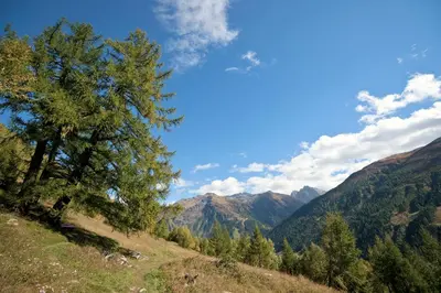 Naturlandschaft in der Nähe des Hotels