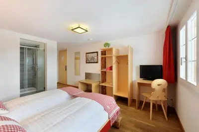 TV/Unterhaltungsangebot in der Unterkunft Alpinhotel Bort