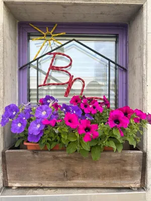 Ein Garten an der Unterkunft B&B Gottardo