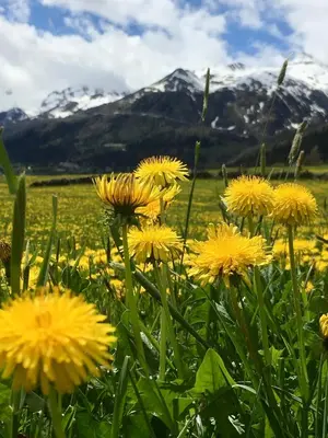 Naturlandschaft in der Nähe des Bed & Breakfasts