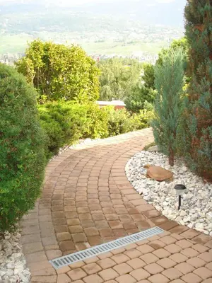 Naturlandschaft in der Nähe des Bed & Breakfasts