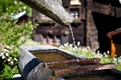 Ein Garten an der Unterkunft Ausblick
