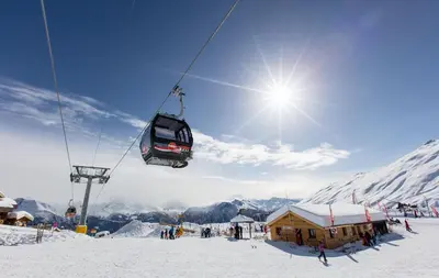 Schwarznase im Winter