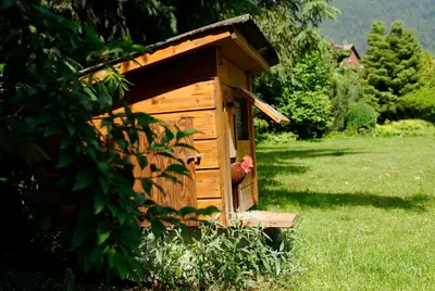 Ein Garten an der Unterkunft Beausite Apartments