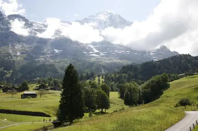 Naturlandschaft in der Nähe der Ferienwohnung