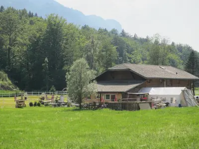 Naturlandschaft in der Nähe des Bauernhofs