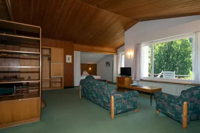 TV/Unterhaltungsangebot in der Unterkunft Hotel Berghaus