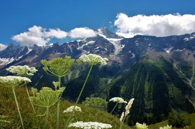 Naturlandschaft in der Nähe des Gasthauses