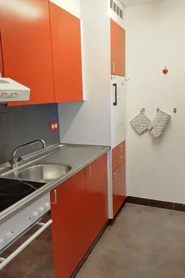 Küche/Küchenzeile in der Unterkunft Apartment Ringstrasse Apt 122 by Interhome