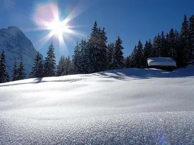 Hotel Steinbock Grindelwald im Winter