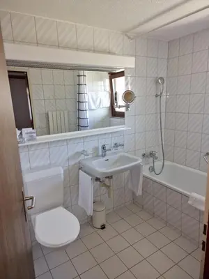 Ein Badezimmer in der Unterkunft Hotel Alpha Thun