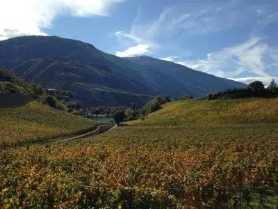 Naturlandschaft in der Nähe des Bed & Breakfasts