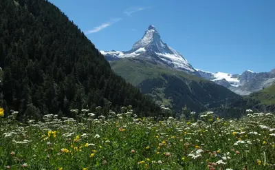 Naturlandschaft in der Nähe des Hotels
