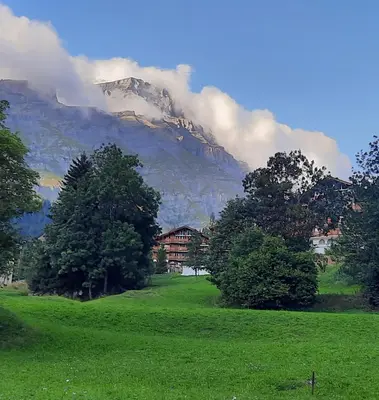 Naturlandschaft in der Nähe der Ferienwohnung