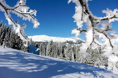 Hotel Sörenberg im Winter
