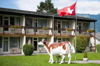 Tiere im Hotel oder in der Nähe