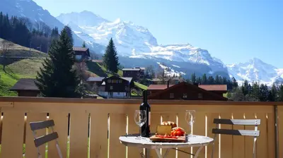 Ein allgemeiner Bergblick oder ein Berglick von der Ferienwohnung aus
