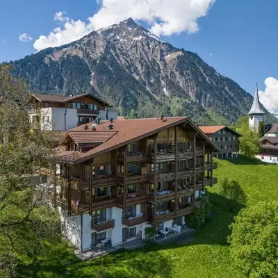 Hotel Aeschi Park