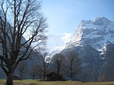 Naturlandschaft in der Nähe der Ferienwohnung