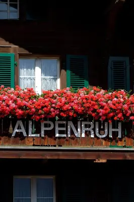 Grundriss der Unterkunft Hotel Garni Alpenruh