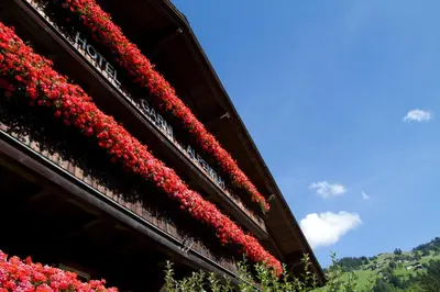 Ein Garten an der Unterkunft Hotel Garni Alpenruh