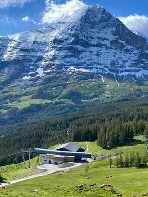 Naturlandschaft in der Nähe der Ferienwohnung