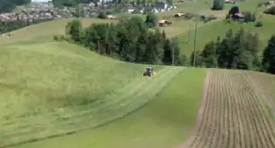 Naturlandschaft in der Nähe der Ferienwohnung