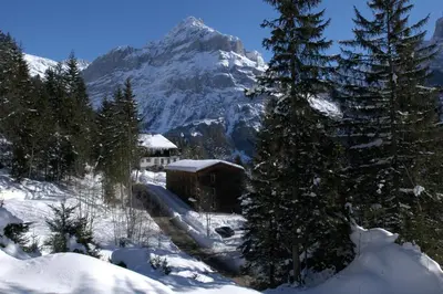 Naturlandschaft in der Nähe des Hostels