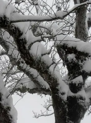 Pension Staldacher im Winter
