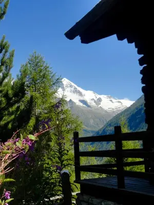 Naturlandschaft in der Nähe der Pension