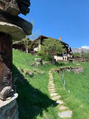 Ein Garten an der Unterkunft Châlet Birkhahn