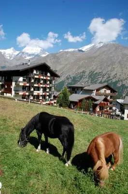 Haustiere von Gästen der Unterkunft Ferienwohnung Allalinblick