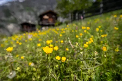 Naturlandschaft in der Nähe des Chalets