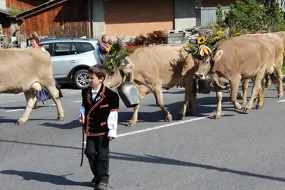 Tiere im Gasthaus oder in der Nähe