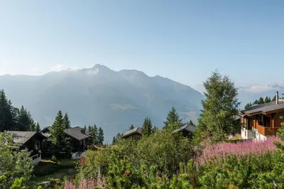 Naturlandschaft in der Nähe der Ferienwohnung