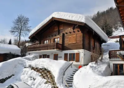 Stachelbeere UG im Winter