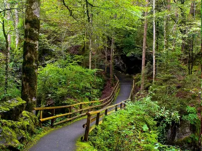 Naturlandschaft in der Nähe des Hotels